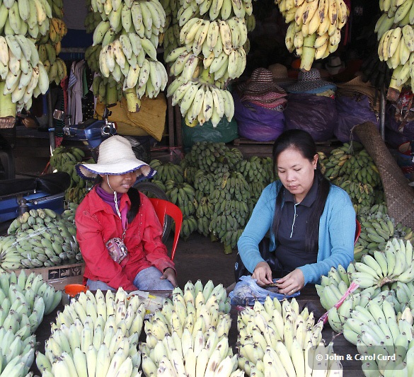 J01_1731 Going bananas.JPG
